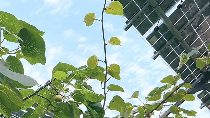 海搏论坛·官方(中国)