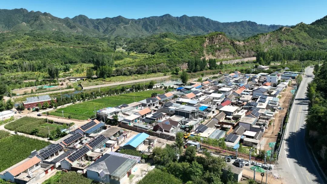 ������̳���ٷ�(�й�)