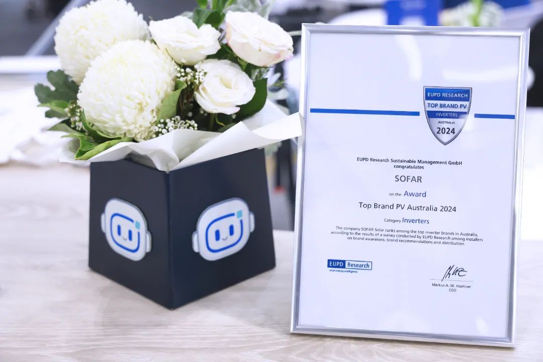 20241024141731_9836 20241024141731_9836